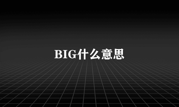 BIG什么意思