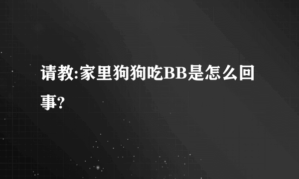 请教:家里狗狗吃BB是怎么回事?