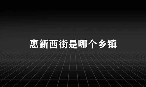 惠新西街是哪个乡镇