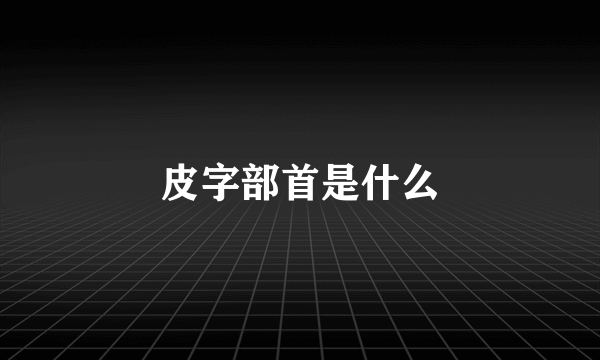 皮字部首是什么