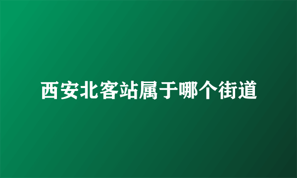 西安北客站属于哪个街道