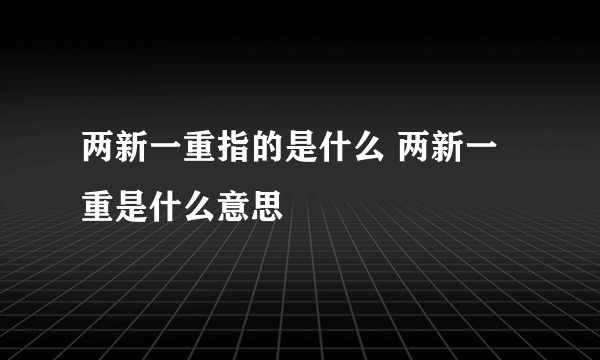 两新一重指的是什么 两新一重是什么意思