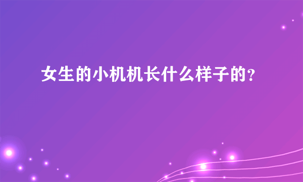 女生的小机机长什么样子的？