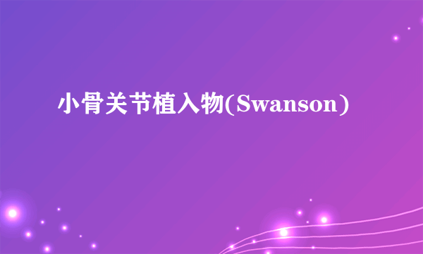 小骨关节植入物(Swanson)