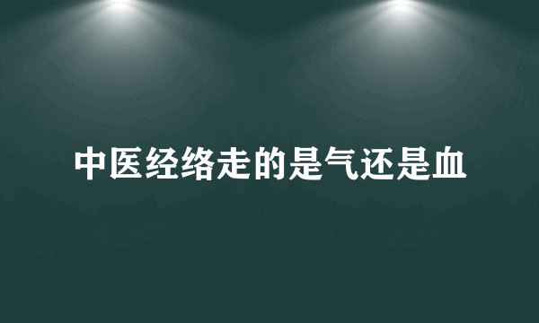 中医经络走的是气还是血