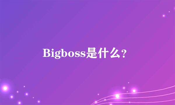 Bigboss是什么？