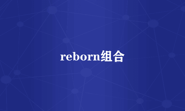 reborn组合