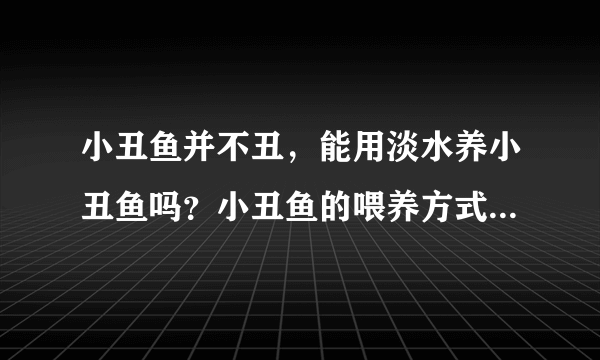 小丑鱼并不丑，能用淡水养小丑鱼吗？小丑鱼的喂养方式你知道吗？