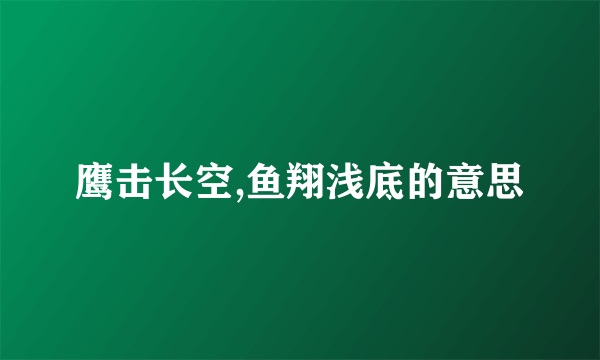 鹰击长空,鱼翔浅底的意思