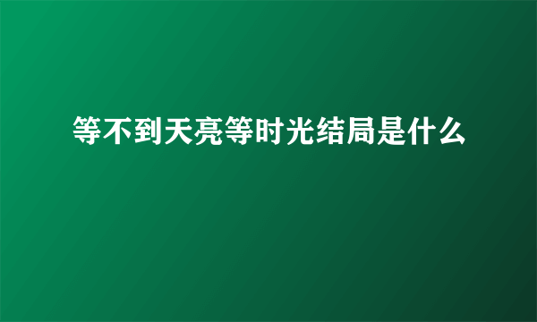 等不到天亮等时光结局是什么