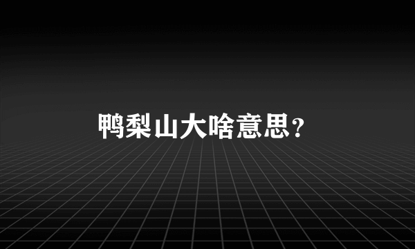 鸭梨山大啥意思？