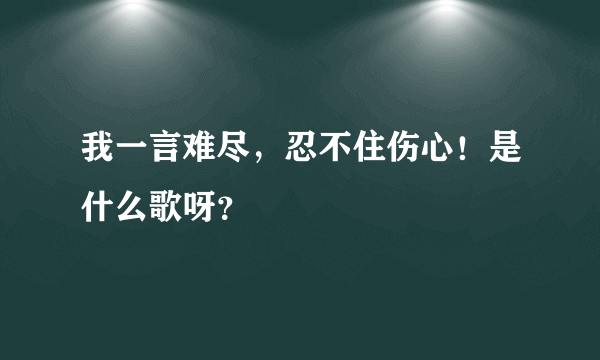 我一言难尽，忍不住伤心！是什么歌呀？