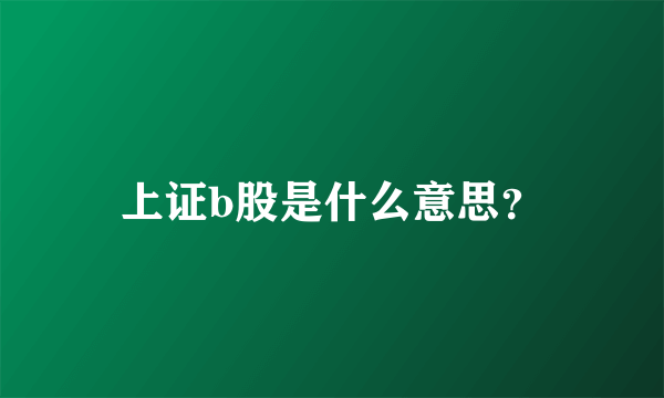 上证b股是什么意思？