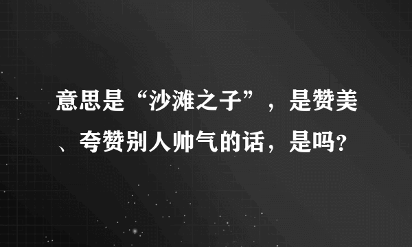 意思是“沙滩之子”，是赞美、夸赞别人帅气的话，是吗？