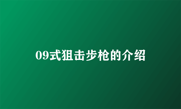 09式狙击步枪的介绍