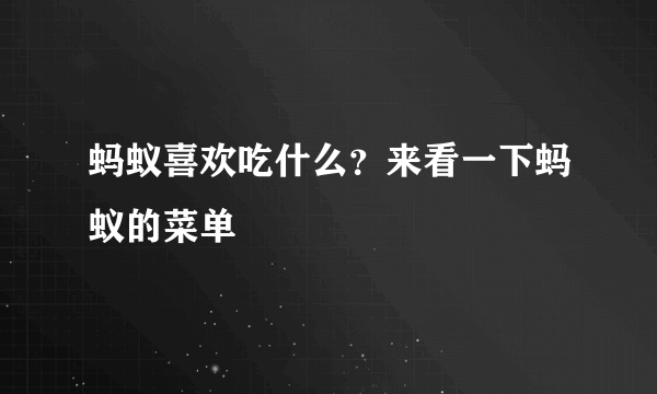 蚂蚁喜欢吃什么？来看一下蚂蚁的菜单