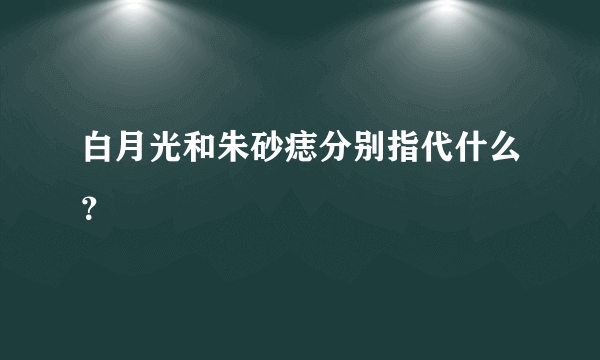 白月光和朱砂痣分别指代什么？