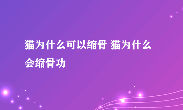 猫为什么可以缩骨 猫为什么会缩骨功