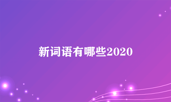 新词语有哪些2020