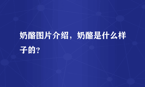 奶酪图片介绍，奶酪是什么样子的？