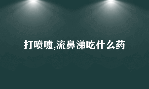 打喷嚏,流鼻涕吃什么药