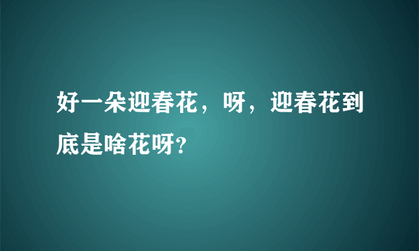 好一朵迎春花，呀，迎春花到底是啥花呀？