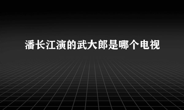 潘长江演的武大郎是哪个电视