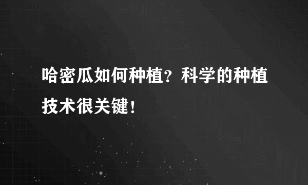 哈密瓜如何种植？科学的种植技术很关键！