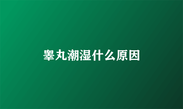 睾丸潮湿什么原因