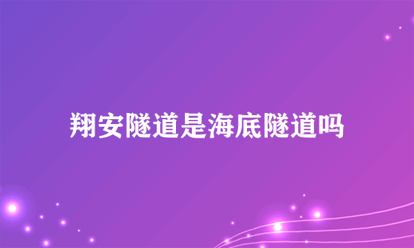 翔安隧道是海底隧道吗