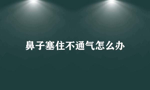 鼻子塞住不通气怎么办