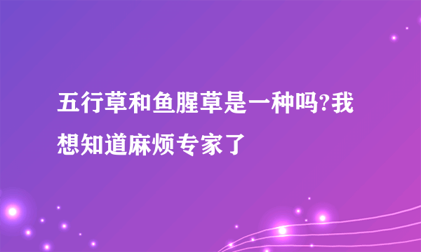 五行草和鱼腥草是一种吗?我想知道麻烦专家了