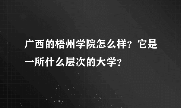 广西的梧州学院怎么样？它是一所什么层次的大学？