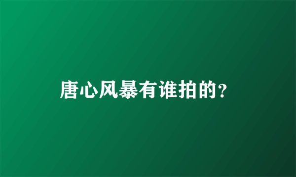 唐心风暴有谁拍的？