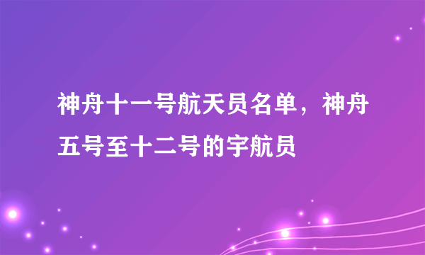 神舟十一号航天员名单，神舟五号至十二号的宇航员