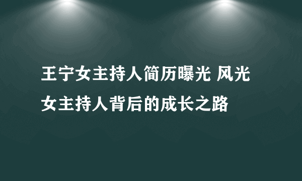 王宁女主持人简历曝光 风光女主持人背后的成长之路