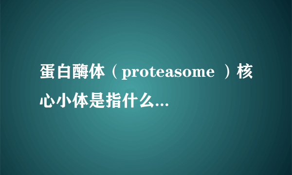 蛋白酶体（proteasome ）核心小体是指什么？具体一点的？