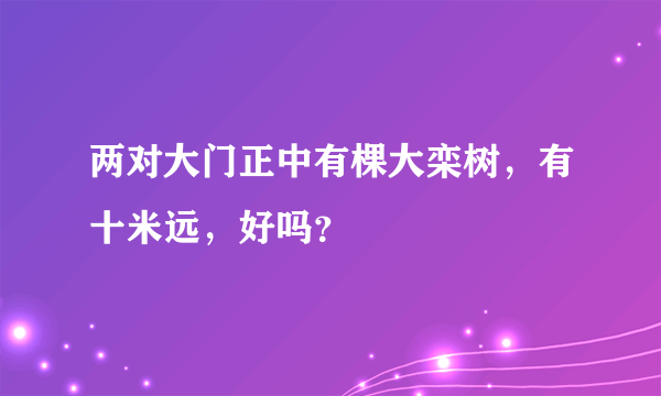 两对大门正中有棵大栾树，有十米远，好吗？