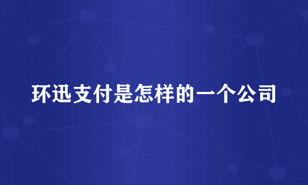 环迅支付是怎样的一个公司