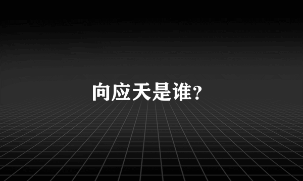 向应天是谁？