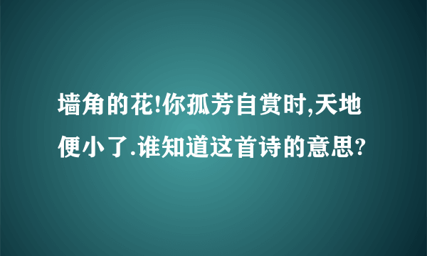 墙角的花!你孤芳自赏时,天地便小了.谁知道这首诗的意思?