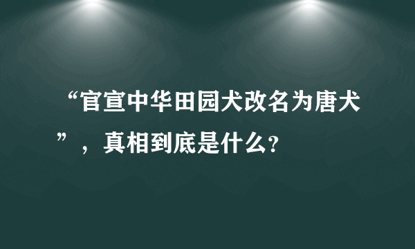 “官宣中华田园犬改名为唐犬”，真相到底是什么？