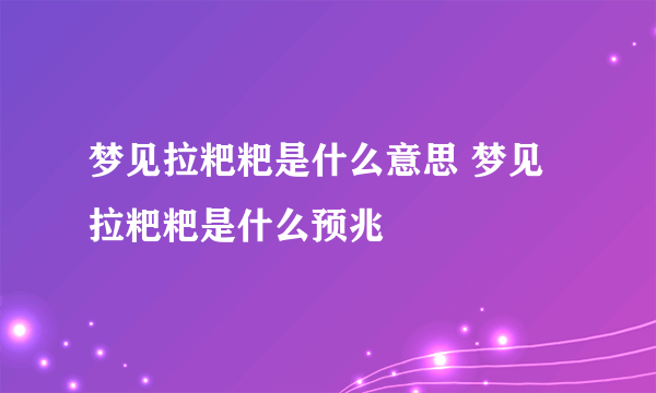 梦见拉粑粑是什么意思 梦见拉粑粑是什么预兆