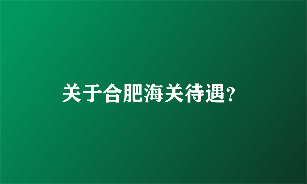 关于合肥海关待遇？