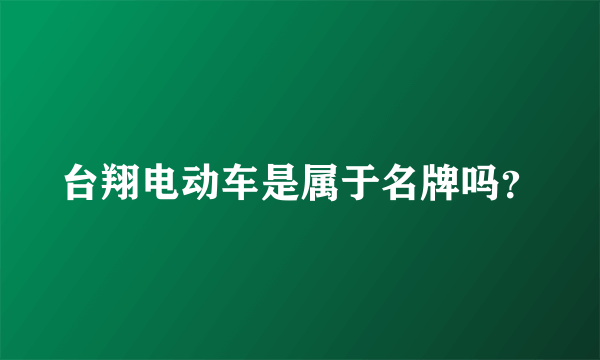 台翔电动车是属于名牌吗？