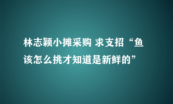 林志颖小摊采购 求支招“鱼该怎么挑才知道是新鲜的”