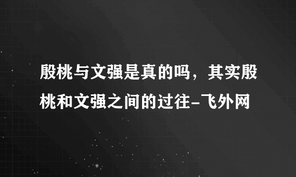 殷桃与文强是真的吗，其实殷桃和文强之间的过往-飞外网