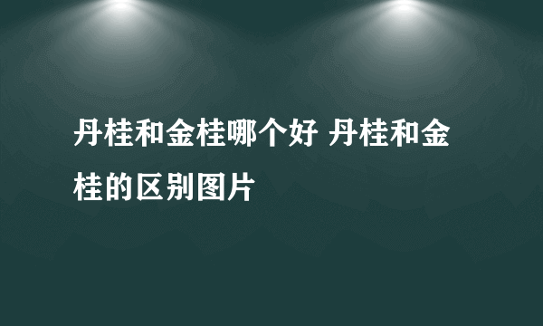 丹桂和金桂哪个好 丹桂和金桂的区别图片