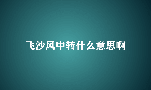 飞沙风中转什么意思啊