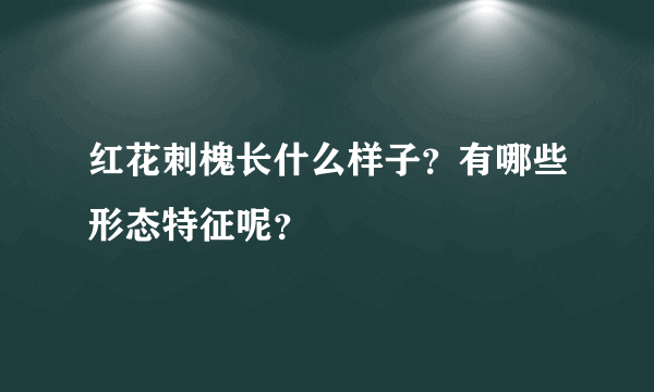 红花刺槐长什么样子？有哪些形态特征呢？